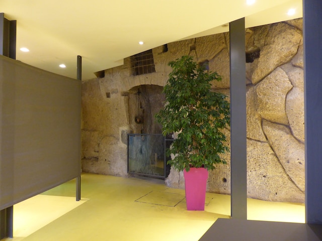 コレラ 241 ライフスタイル ホテル