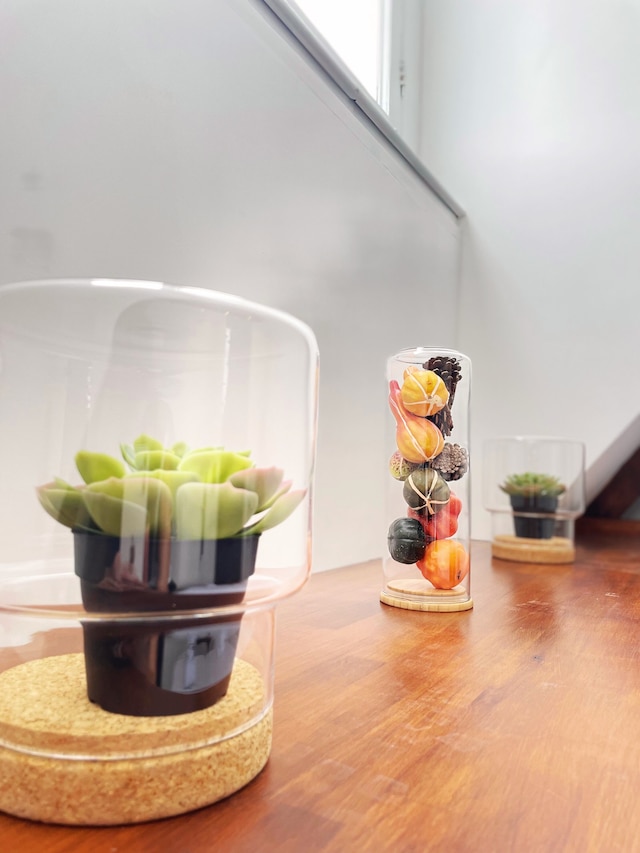 ホテル プランタージ - デジタル アクセス