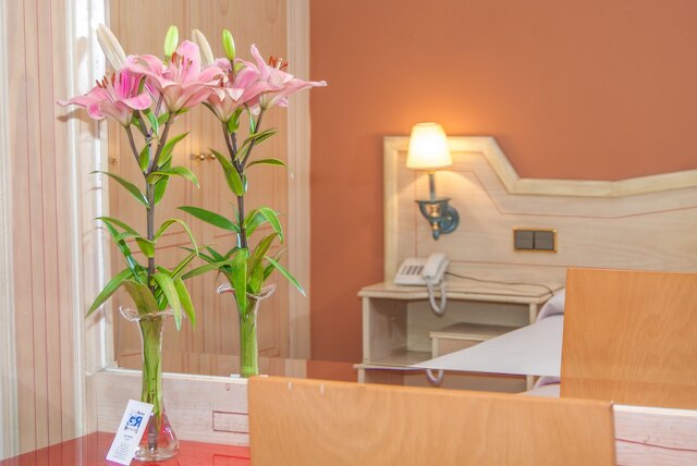 ホテル アナ マリア