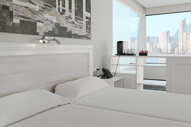 カクタス オテル ベニカクタス