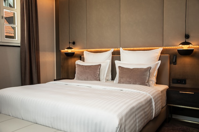 シュタイゲンベルガー ホテル ド サクス