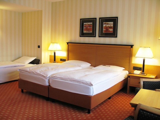 マリティム ホテル & インターナツィオナーレス コングレス センター ドレスデン