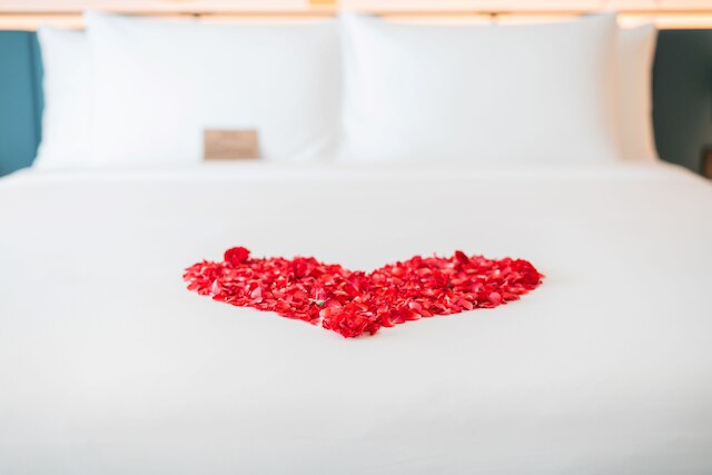 M ソーシャル  ホテル  プーケット