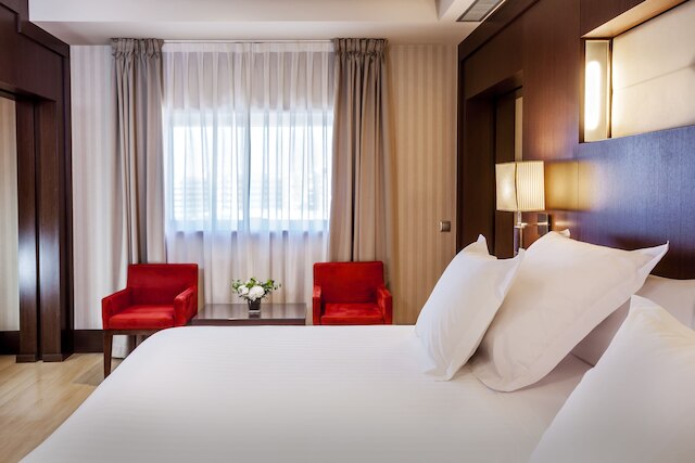 バルセロ グラナダ コングレス