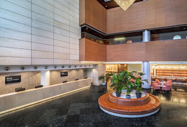 バルセロ グラナダ コングレス