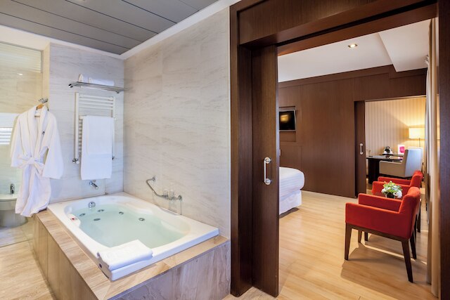 バルセロ グラナダ コングレス