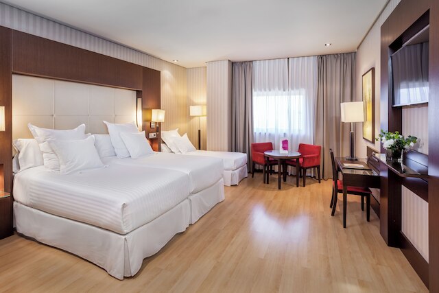 バルセロ グラナダ コングレス