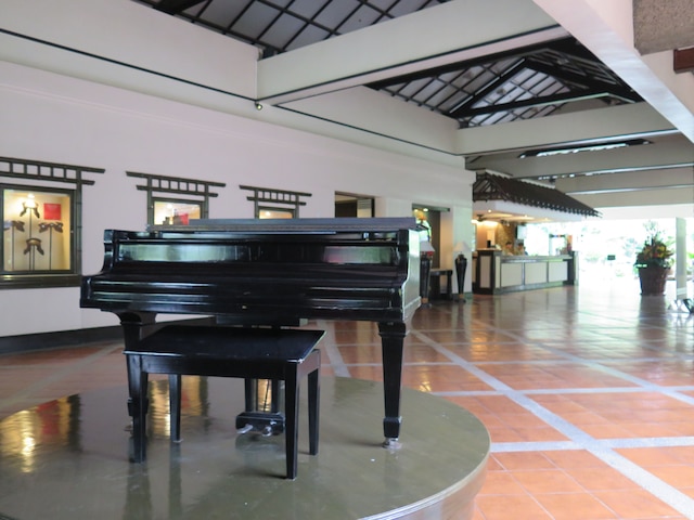 ウォーターフロント インシュラー ホテル ダバオ