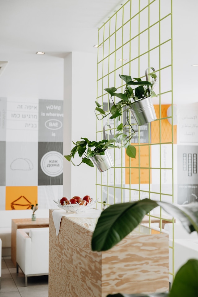 ザ ピュア メンバー オブ デザイン ホテルズ