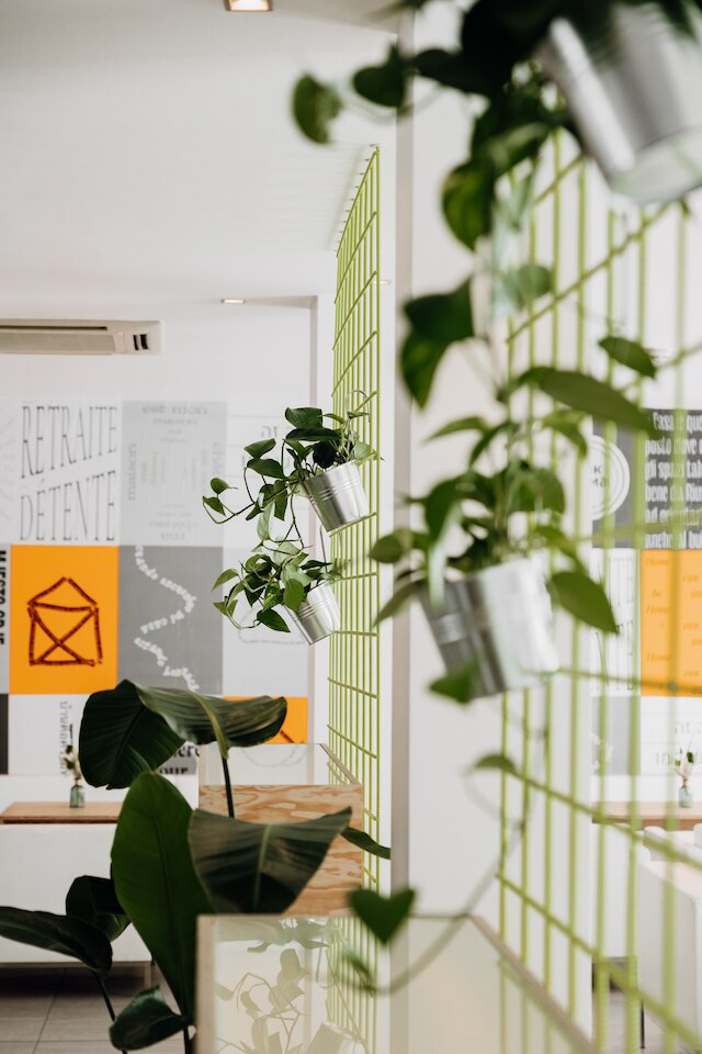 ザ ピュア メンバー オブ デザイン ホテルズ