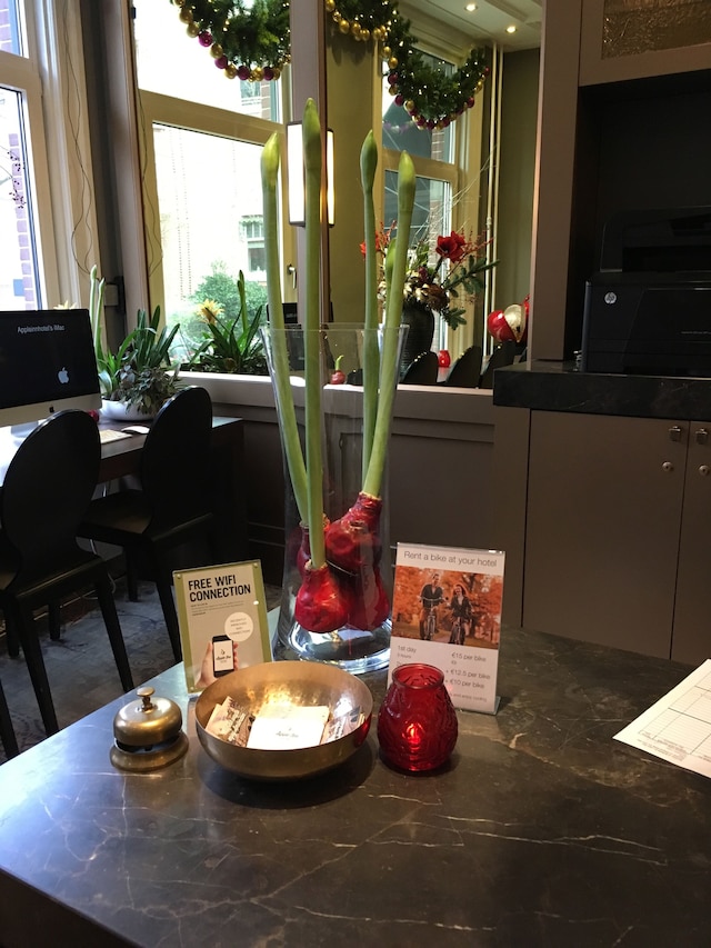 アップル イン ホテル