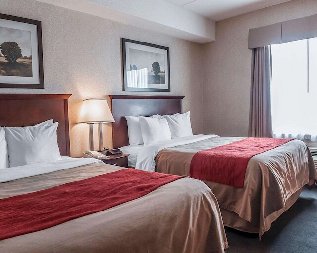 コンフォート イン ミシサガ