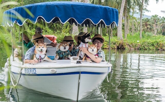 プロミスドランド リゾート & ラグーン (花蓮理想大地渡假飯店)