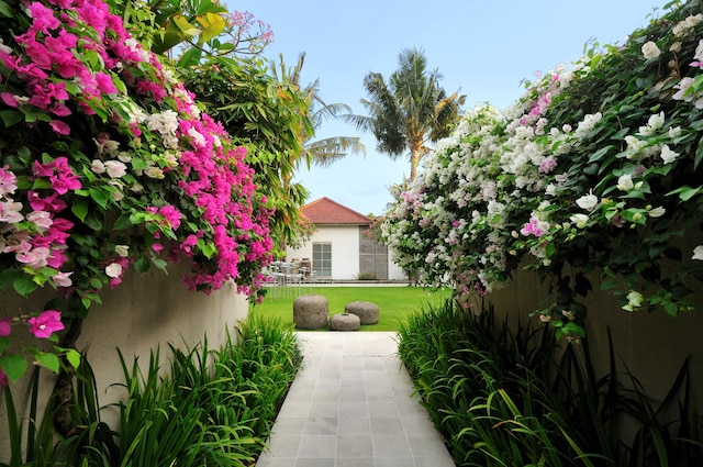 ウマ サプナ スミニャック