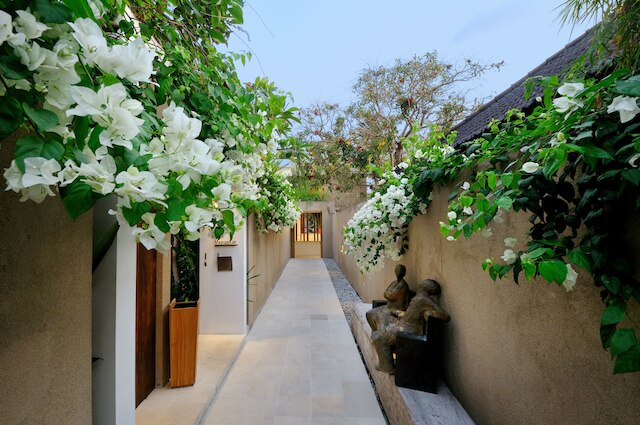 ウマ サプナ スミニャック