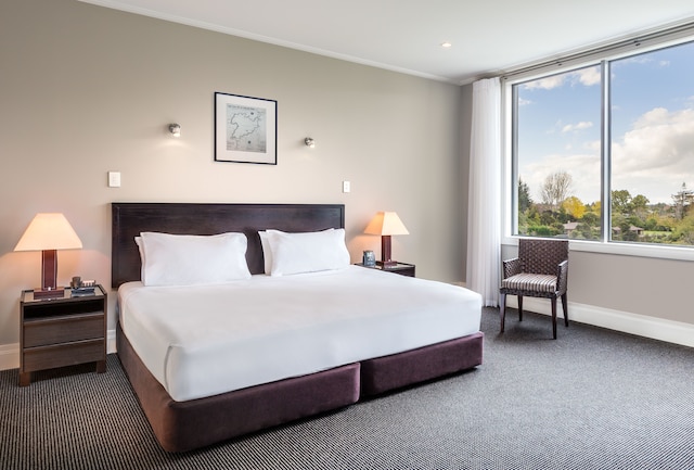 ヒルトン レイク タウポ