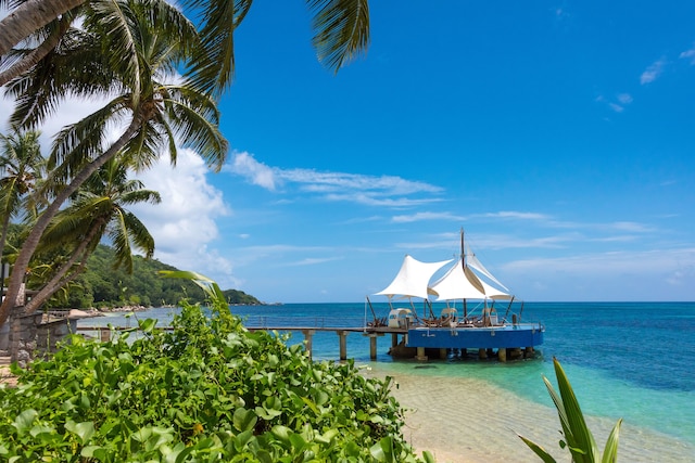 ココ デ メール ホテル ブラック パロット スイーツ