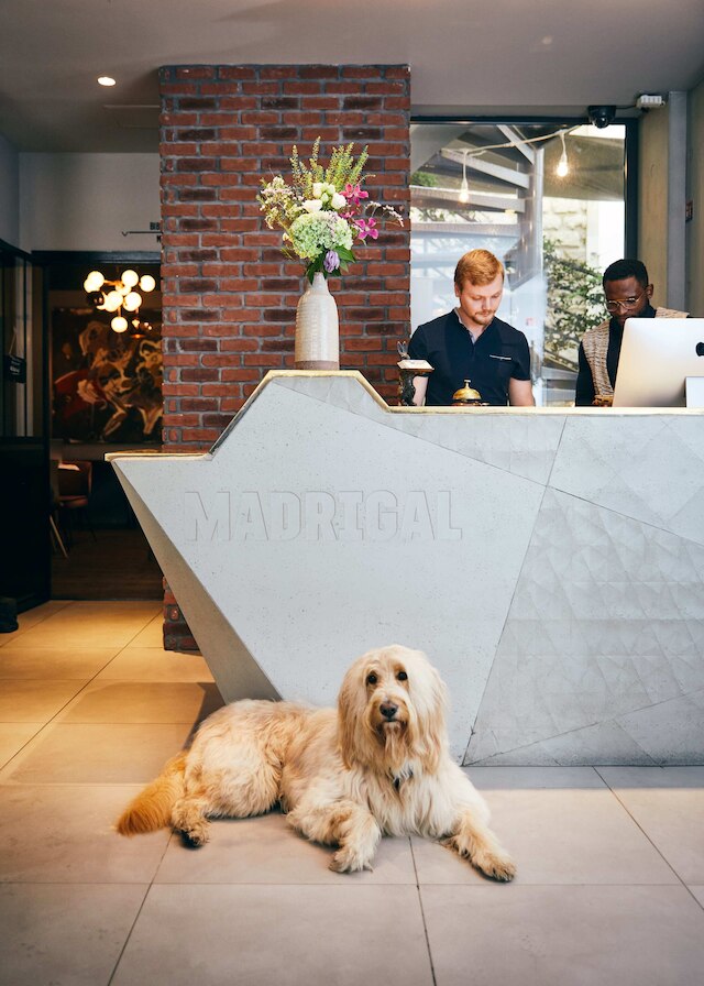 マドリガル ホテル