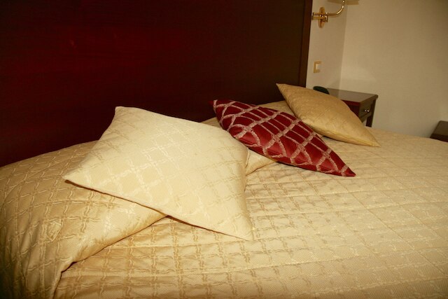 ホテル アレッサンドロ デラ スピナ