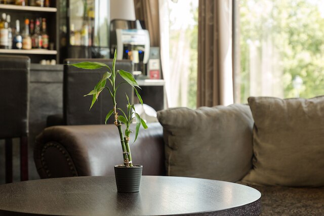 ザ オリジナルズ ブティック オテル レ クアトル サリーヌ