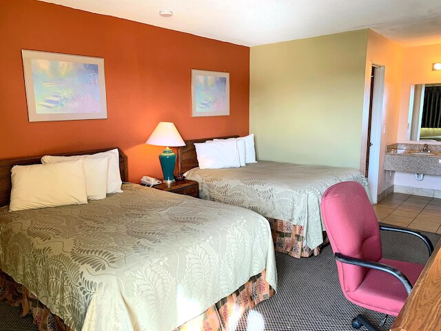 エグゼクティブ イン