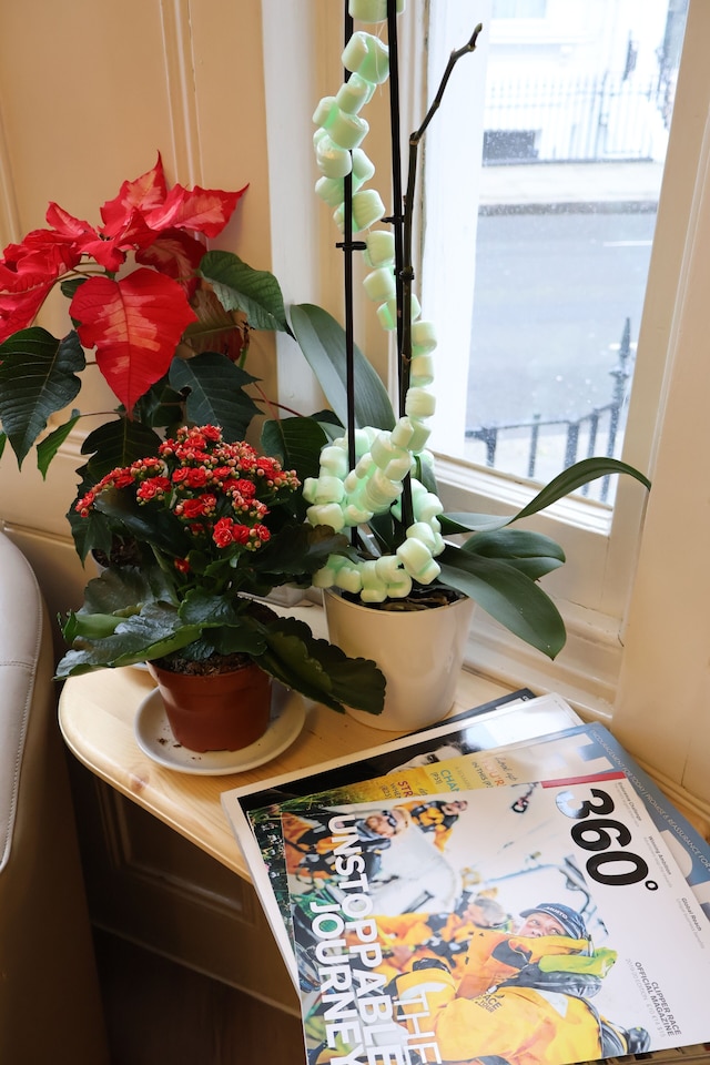 ドリームテル ロンドン ケンジントン