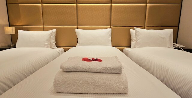 ハイド パーク インターナショナル