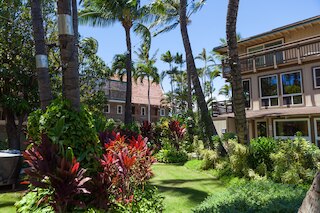 コヘア カイ ホテル マウイ