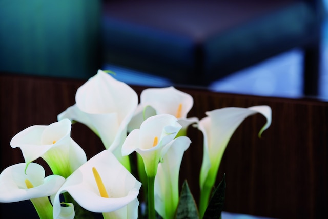 モーベンピック  ホテル フランクフルト シティ