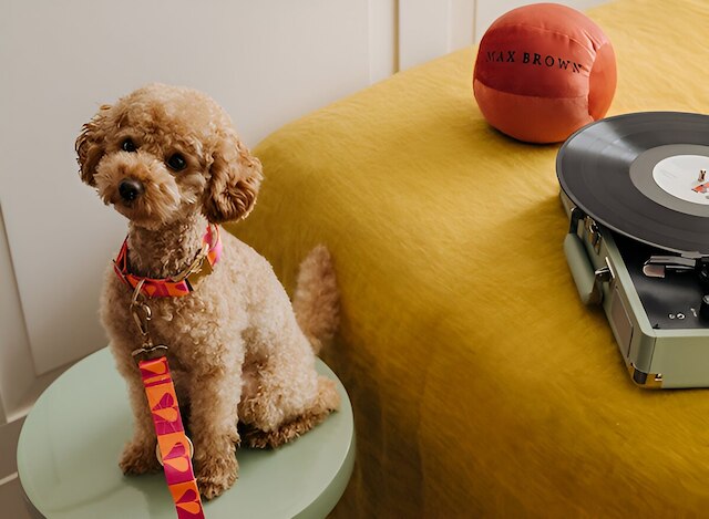 マックス ブラウン ホテル カナル地区、シルクルコレクションの一部