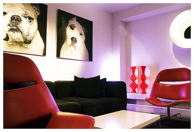 ルーム メイト マリオ, マドリード