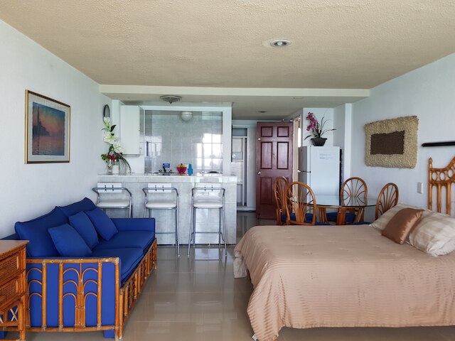 サルビア コンドズ