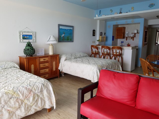 サルビア コンドズ