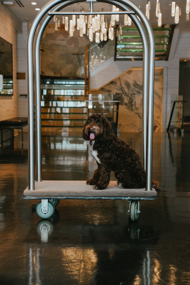 ホテル 1000 LXR ホテルズ & リゾーツ