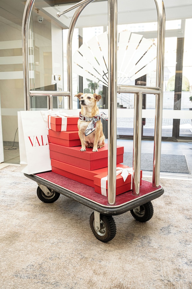 マンダリン オリエンタル、プラハ