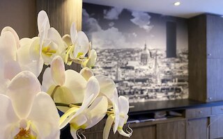 ティモテル オデッサ モンパルナス