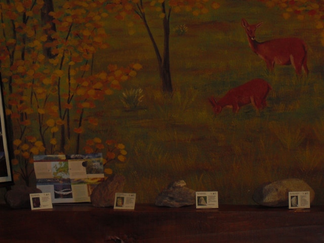 パラドール デ ビエルサ