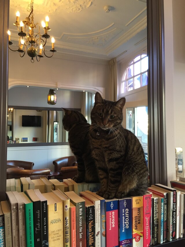 ホテル クレメンス アムステルダム