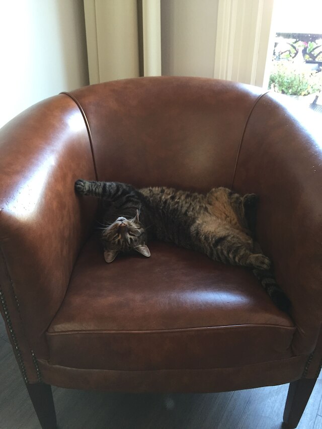 ホテル クレメンス アムステルダム