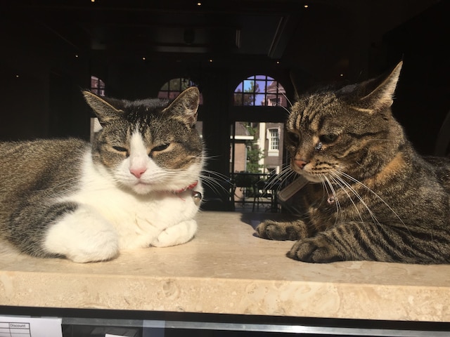 ホテル クレメンス アムステルダム