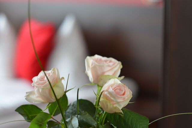 ホテル アトラス ベルリン