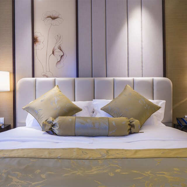 ハワードジョンソン パール プラザ武漢 (武漢江城明珠豪生大酒店)