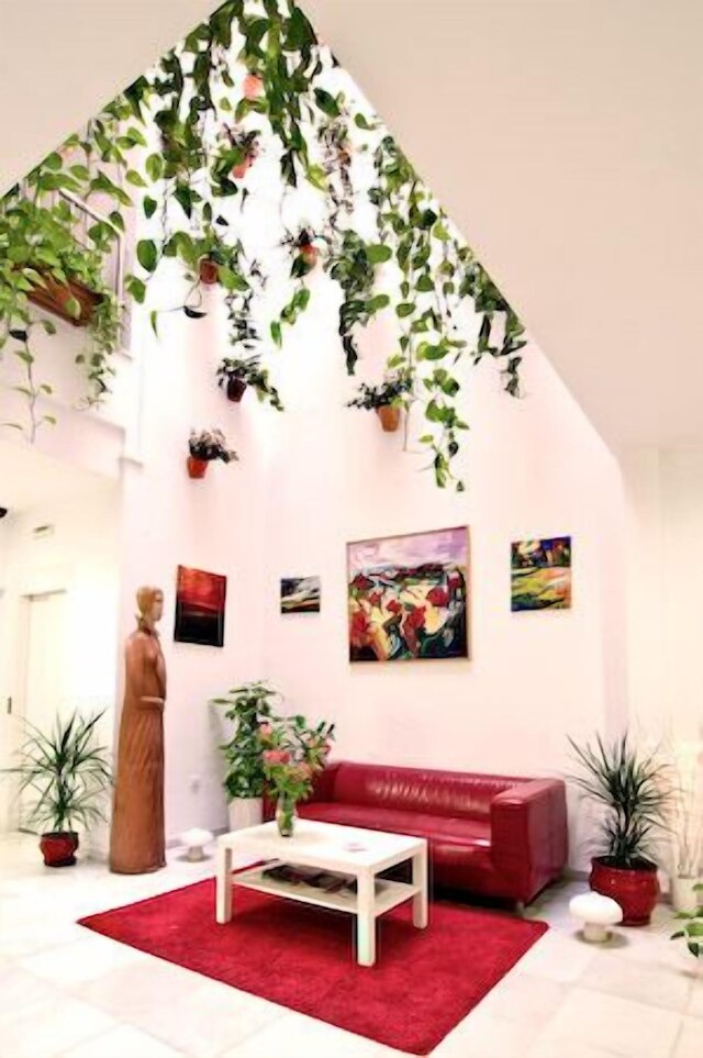 ホテル ウン パティオ エン サンタ クルス