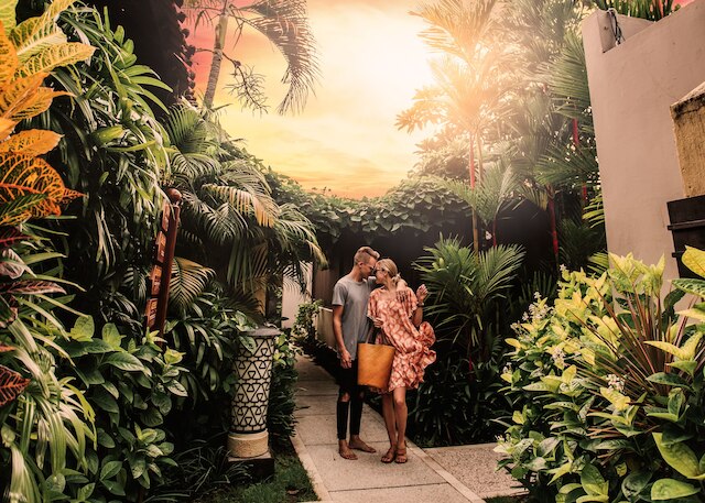 アラヤ・デダウン・クタ