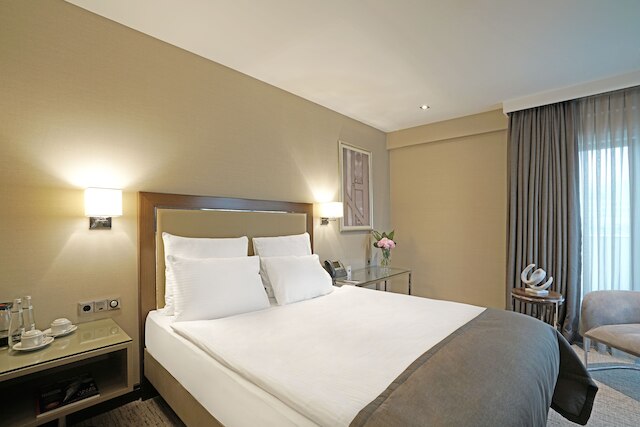 オクシデンタル アンカラ