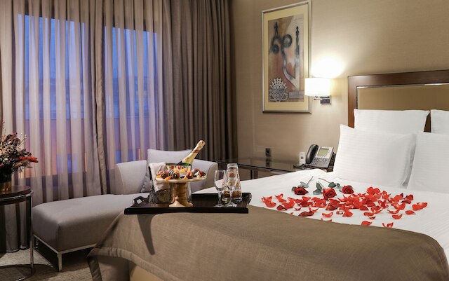 オクシデンタル アンカラ