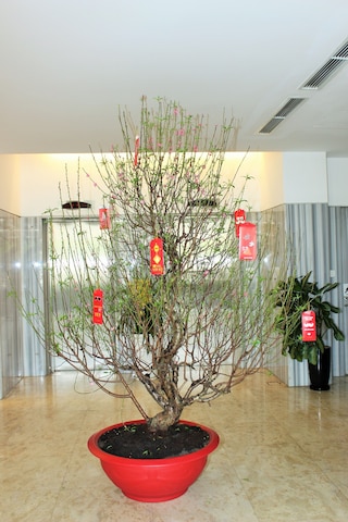 リバティ ホテル サイゴン グリーンビュー