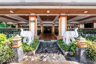 ロイヤル・アイボリー・スクンビットナナ