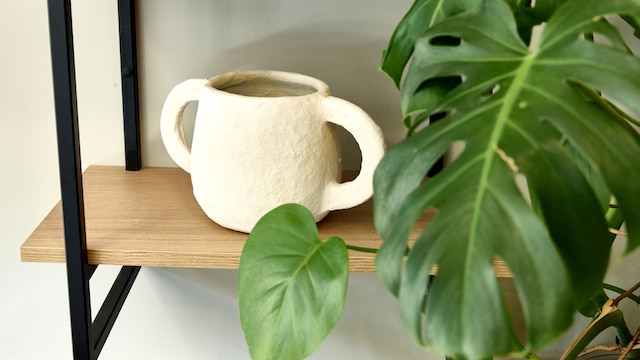 カンパニール ナチュレ - サノワ エルモン