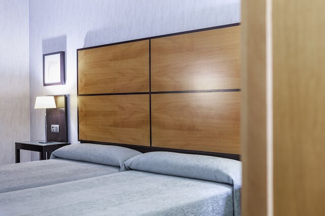 ホテル マシア レアル デ ラ アランブラ